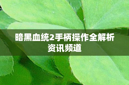 暗黑血统2手柄操作全解析资讯频道图片