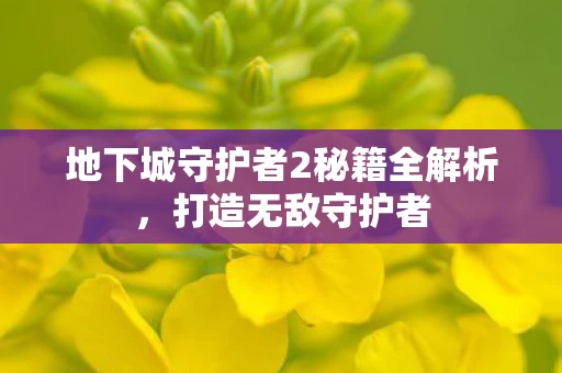 地下城守护者2秘籍全解析图片