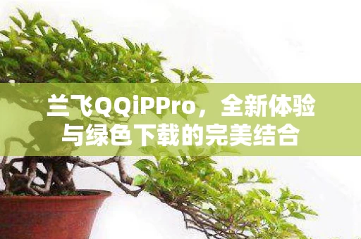 全新体验与绿色下载的完美结合图片
