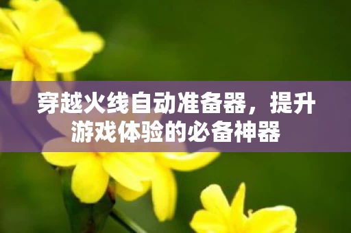 提升游戏体验的必备神器图片