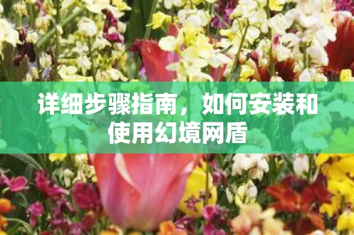 如何安装和使用幻境网盾图片