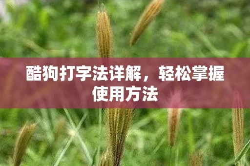 轻松掌握使用方法图片