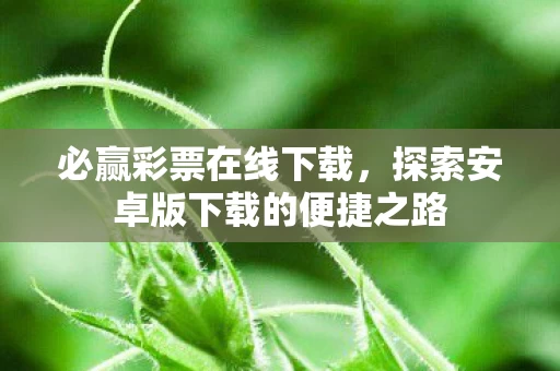 探索安卓版下载的便捷之路图片