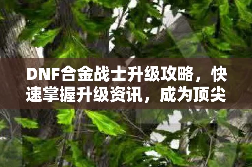 DNF合金战士升级攻略图片