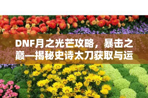 揭秘史诗太刀获取与运用之道图片
