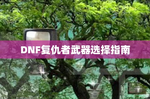 DNF复仇者武器选择指南图片