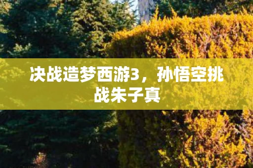 孙悟空挑战朱子真图片
