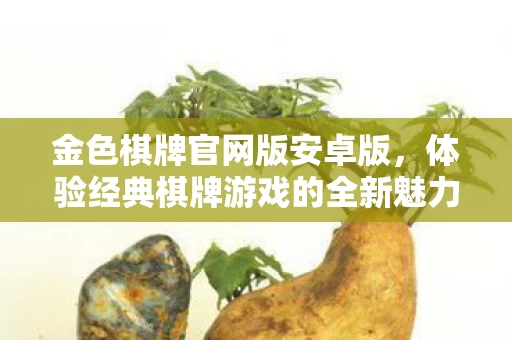 体验经典棋牌游戏的全新魅力图片