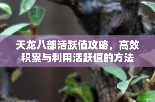 高效积累与利用活跃值的方法图片