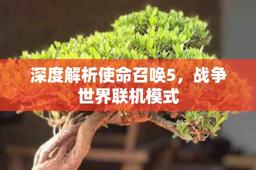 深度解析使命召唤5图片