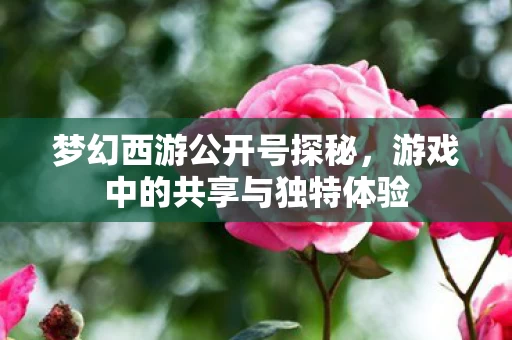 游戏中的共享与独特体验图片