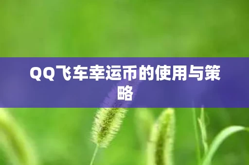 QQ飞车幸运币的使用与策略图片