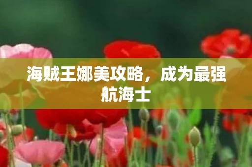 海贼王娜美攻略图片