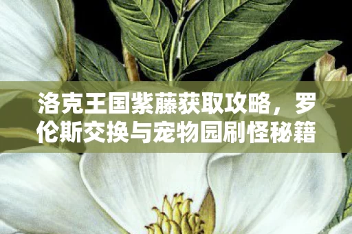 罗伦斯交换与宠物园刷怪秘籍详解图片