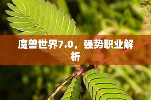 强势职业解析图片