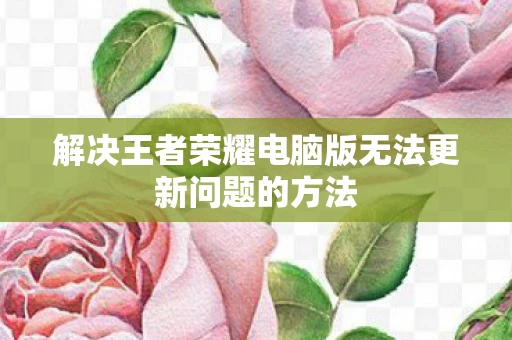 解决王者荣耀电脑版无法更新问题的方法图片