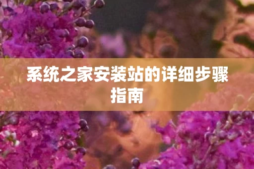 系统之家安装站的详细步骤指南图片