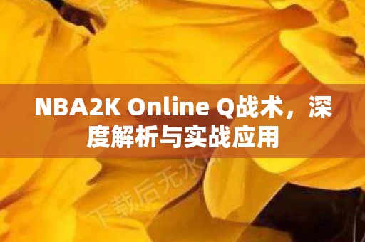 NBA2K Online Q战术图片