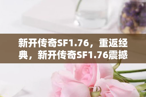 新开传奇SF1图片