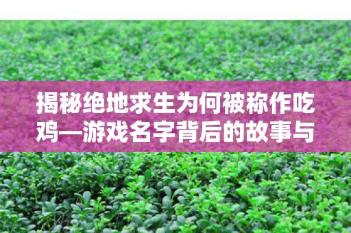 游戏名字背后的故事与原因探究图片