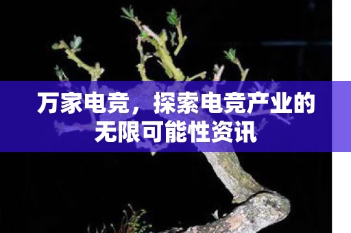 探索电竞产业的无限可能性资讯图片