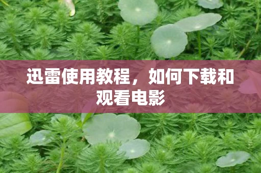 如何下载和观看电影图片