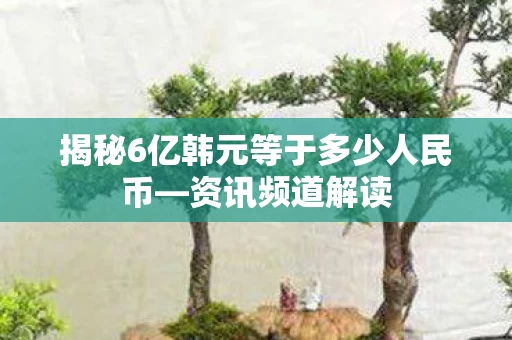 揭秘6亿韩元等于多少人民币图片