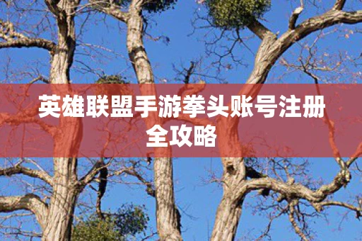 英雄联盟手游拳头账号注册全攻略图片