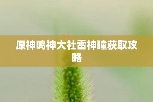 原神鸣神大社雷神瞳获取攻略图片
