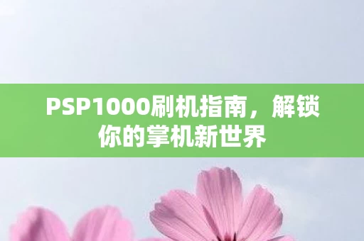 PSP1000刷机指南图片