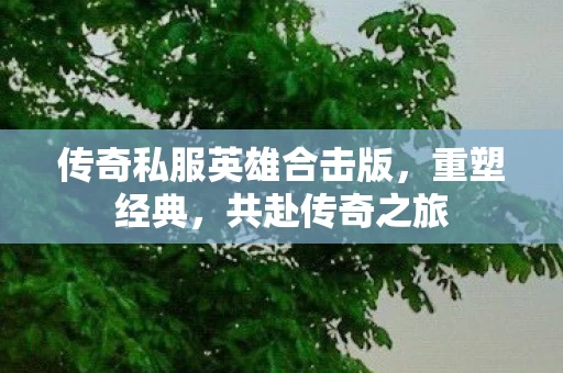 传奇私服英雄合击版图片