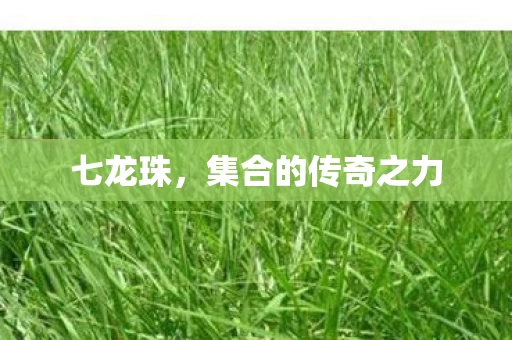 集合的传奇之力图片