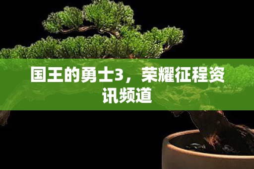 荣耀征程资讯频道图片