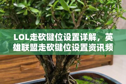 英雄联盟走砍键位设置资讯频道图片