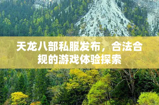 合法合规的游戏体验探索图片