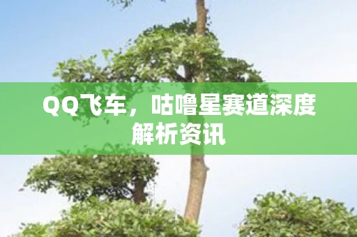咕噜星赛道深度解析资讯图片
