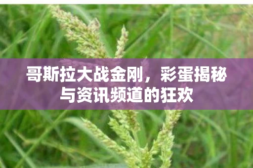 彩蛋揭秘与资讯频道的狂欢图片