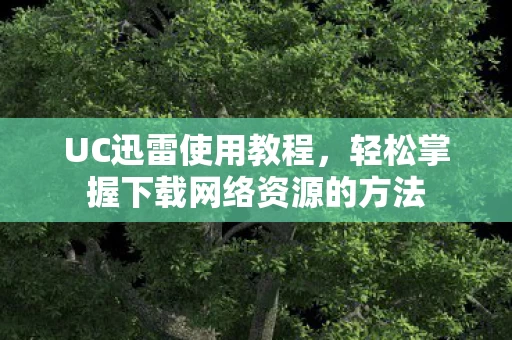 轻松掌握下载网络资源的方法图片