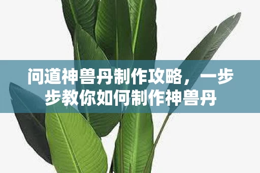 一步步教你如何制作神兽丹图片