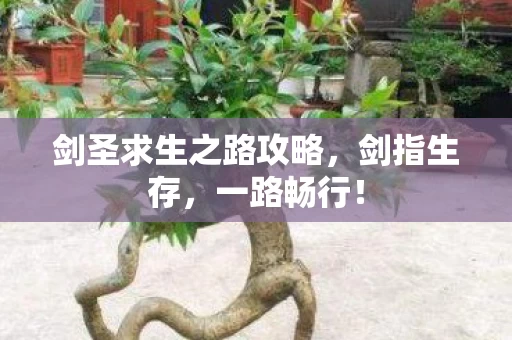 剑圣求生之路攻略图片