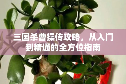 从入门到精通的全方位指南图片