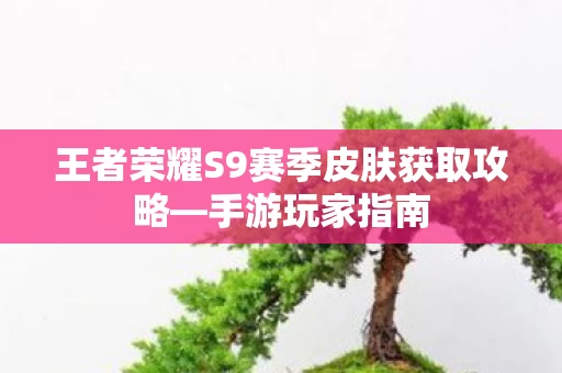 王者荣耀S9赛季皮肤获取攻略图片
