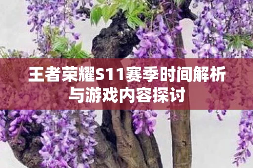 王者荣耀S11赛季时间解析与游戏内容探讨图片