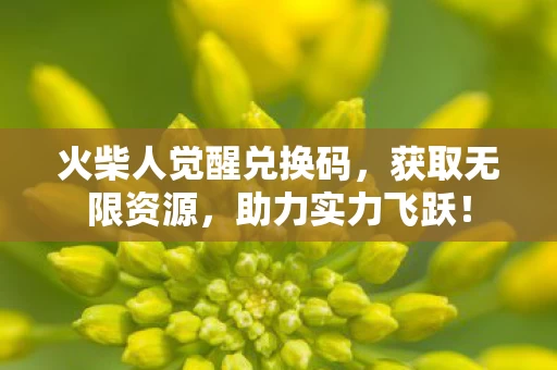 火柴人觉醒兑换码图片