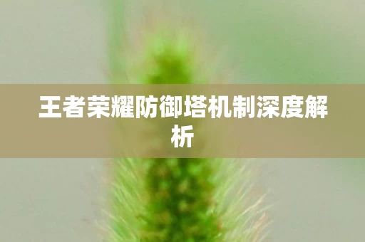 王者荣耀防御塔机制深度解析图片