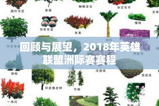 2018年英雄联盟洲际赛赛程图片