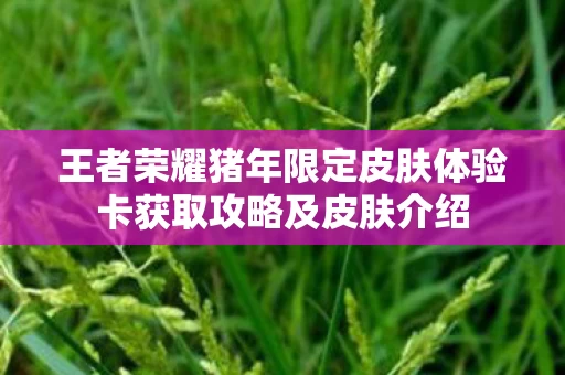 王者荣耀猪年限定皮肤体验卡获取攻略及皮肤介绍图片