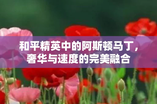 和平精英中的阿斯顿马丁图片