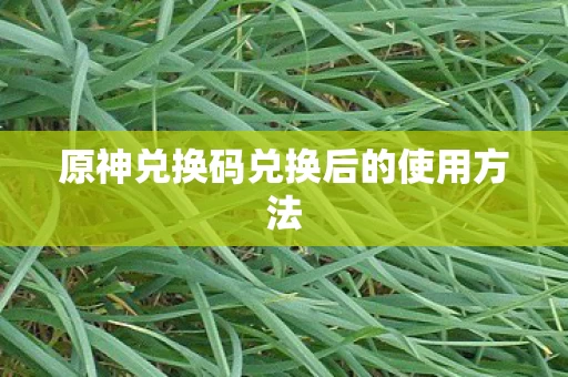 原神兑换码兑换后的使用方法图片