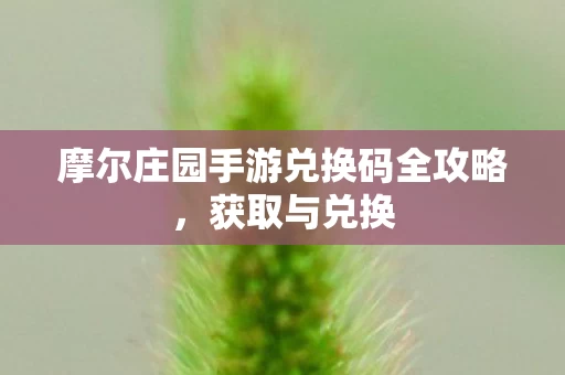 摩尔庄园手游兑换码全攻略图片